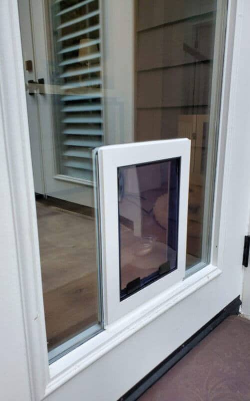 Custom-in-glass-pet-door