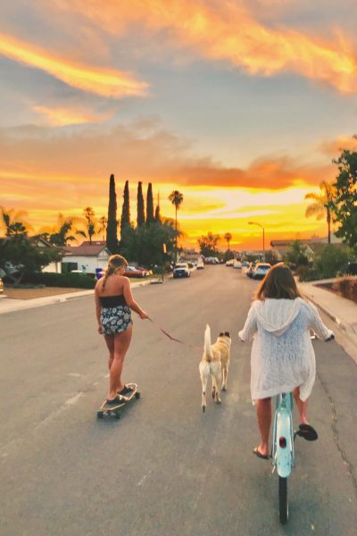 Girls on their bike and skateboard taking Shelby for a walk during a bright